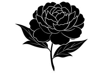  A silhouette of peonie flower vector illustration © rifat sultana