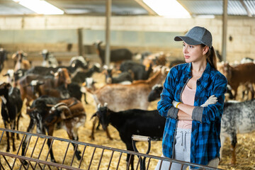 Successful young woman farmer, breeder of small cattle, posing in barn against background of herd of domestic goats