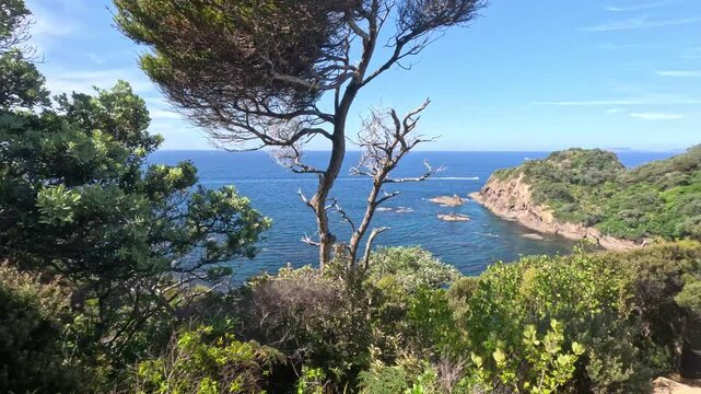 Matapouri Bay New Zealand Pan Left To Ocean Overlook With Trail