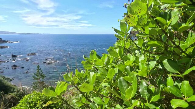 Matapouri Bay New Zealand Pan Left To Ocean Overlook