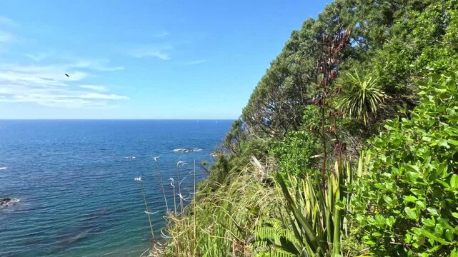 Matapouri Bay New Zealand Pan Left To Ocean View