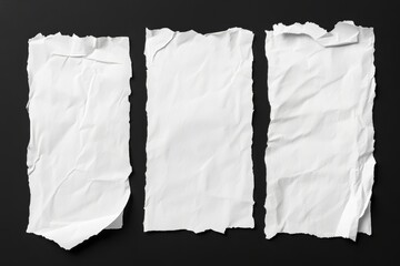 Obraz premium Three torn blank white paper pieces on black background