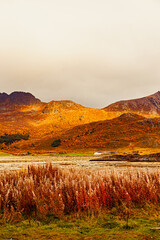 Archipelag Lofoten Islands Norway Nordland Arctic Circle