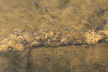 fondos y texturas en charcos embarrados