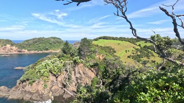 Matapouri Bay New Zealand Pan Right From Tree To Ocean View