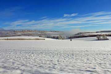 Obraz premium Kempenfeldrom. Winter landscape in the Eggegebirge mountains. 