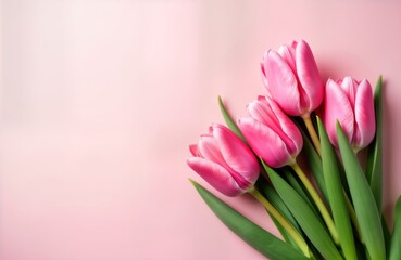 Naklejka premium Pink tulips bouquet on pastel pink background. Spring flowers composition. Flat lay top view. Ideal for Valentine Day Easter Birthday Mother Day. Beautiful floral gift. Romantic, beautiful.