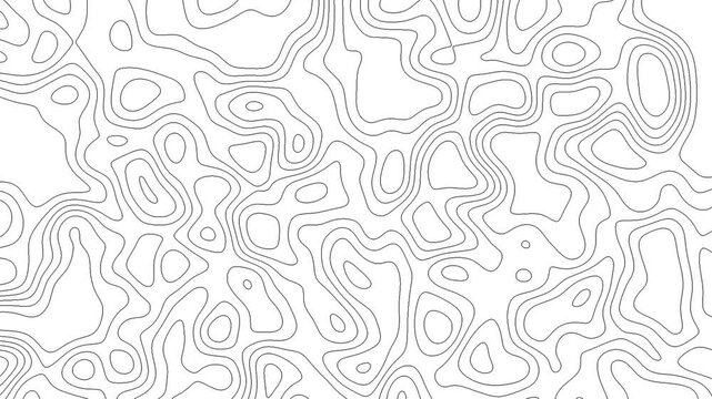 Topographic Map Animated Background : Black and White