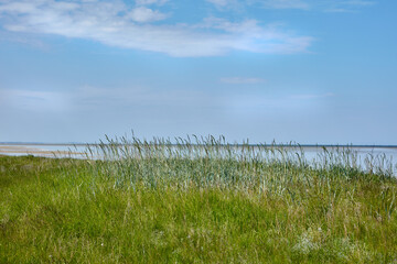 Land, beach and green grass with sea, blue sky and clouds on horizon for travel on island. Outdoor, nature or ocean water for tourism, vacation or holiday by shore with lawn in environment in Denmark