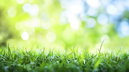 Soft green grass glistens with morning dew under bright sunlight in a peaceful natural setting. Generative AI