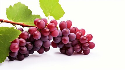 Fototapeta premium Fresh red grapes hang from a lush green vine, showcasing their rich color and juicy appeal against a clean white backdrop.