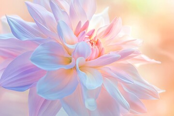 Fototapeta premium Beautiful flower in macro. Perfect bloom of lily, colorful amazing closeup.
