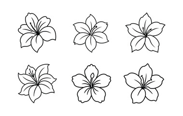 Six black and white line art hibiscus flower illustrations © Tamanna