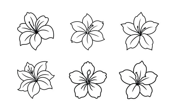 Six black and white line art hibiscus flower illustrations