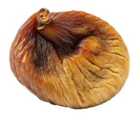 Close-up of dried fig showing its texture