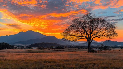 Fototapeta premium Fiery sunset over mountains, lone tree in field, pastoral scene, nature photography