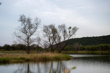 Landscape with mountains and lake in winter