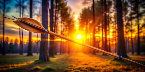 Naklejka premium Arrow in Motion Against Golden Sunset Backdrop