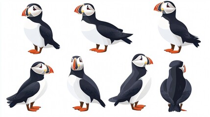 Obraz premium Professional Collection of Atlantic Puffin Bird Images Capturing Diverse Poses and Expressions