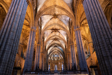 Fototapeta premium Barcelona Cathedral's breathtaking interior: Sunlight illuminates the intricate ribbed vault ceilings and slender columns.
