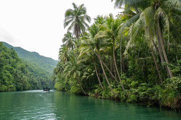 Obraz premium Serene river scene: A small boat glides along a tranquil waterway, surrounded by vibrant green tropical foliage and palm trees.