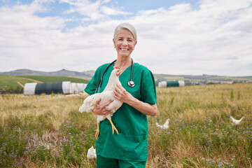 Mature woman, portrait or veterinarian with chicken on farm for poultry health, agriculture or...