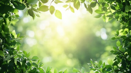 Sunlight filtering through green leaves creating a peaceful natural atmosphere in a forest setting. Generative AI