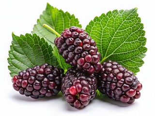 Close-up of fresh ripe mulberry fruits with green leaves on a white background