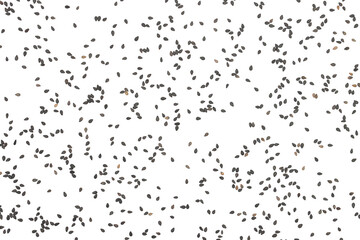 black sesame seeds flying isolated on white background