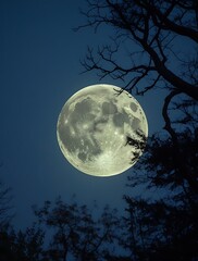 Fototapeta premium Full moon rising over silhouetted trees, casting a soft glow and creating an ethereal, magical nighttime scene filled with serenity and wonder