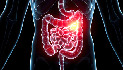 Pain in human intestines, bowel concept. Ghost light effect, x-ray hologram. 3D rendering , with white tonespng
