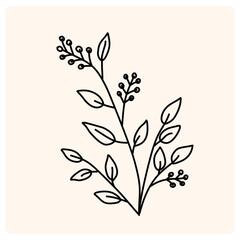 Hand drawn wild field flora, flowers, leaves, herbs, plants, branches. Minimal floral botanical line art