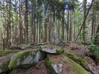 Mysterious menhir stones scattered in the forests around Kasperske Hory in the Sumava Mountains are...