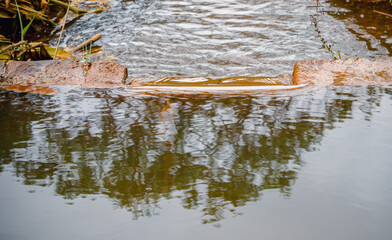 Leaking small watercourse dammed by a brick wall with water surface reflecting the sky and a tree


