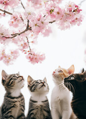 桜を見上げる猫たち