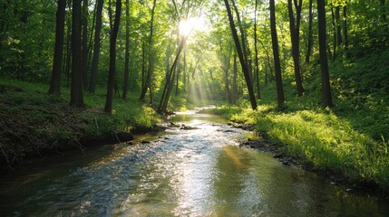 Obraz premium Sunlight Glimmers Through Trees Over a Serene Forest Stream