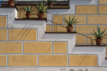 Sunlit agave plants in terracotta pots accentuate a modern outdoor staircase with a striking geometric wall design.