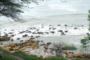 Rocky Beach Shoreline with Waves Crashing Against the Rocks and Greenery in the Foreground