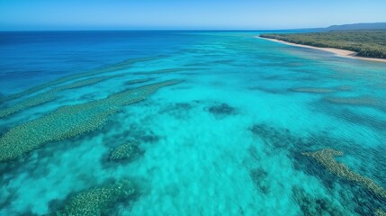 Obraz premium Aerial View Of Vibrant Turquoise Ocean And Coral Reef