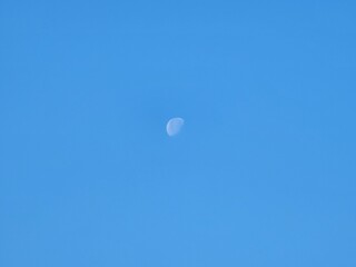 낮에 뜬 달