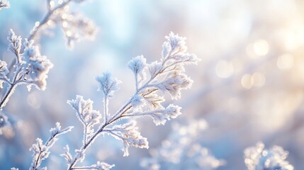 Fototapeta premium Frozen branches gleam softly in warm winter sunlight a serene winter scene. AI Generated