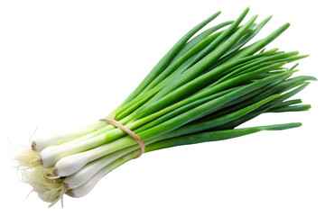 fresh green onions