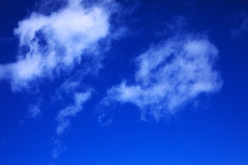 青空から舞い落ちる粉雪