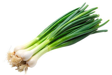 fresh green onions