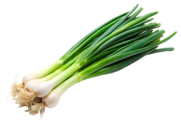 fresh green onions