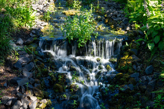 A gentle waterfall cascades over moss-covered rocks, creating a serene and picturesque scene in a vibrant garden.