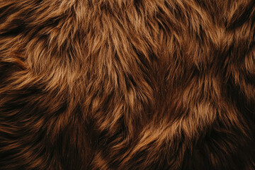 Naklejka premium Rich brown animal fur texture with detailed layered fibers