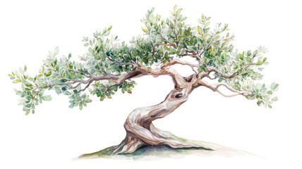 Fototapeta premium Charming bonsai tree with intricate branches and leaves, showcasing nature's beauty in a tranquil setting