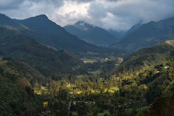 Fototapeta premium Misty alpine landscape of Cocora valley, Salento, Colombia, South America. Clouds and Subtropical Andean Cordillera in Salento, Colombia, Nevados National Natural Park