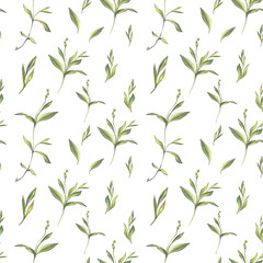 Seamless pattern with watercolor and digital green grass and leaves on white background. Hand-drawn bush with bud. Wallpaper for invite card, wedding celebration and sticker. Art for wrapping